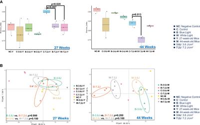 Chronic blue light-emitting diode exposure harvests gut dysbiosis related to cholesterol dysregulation